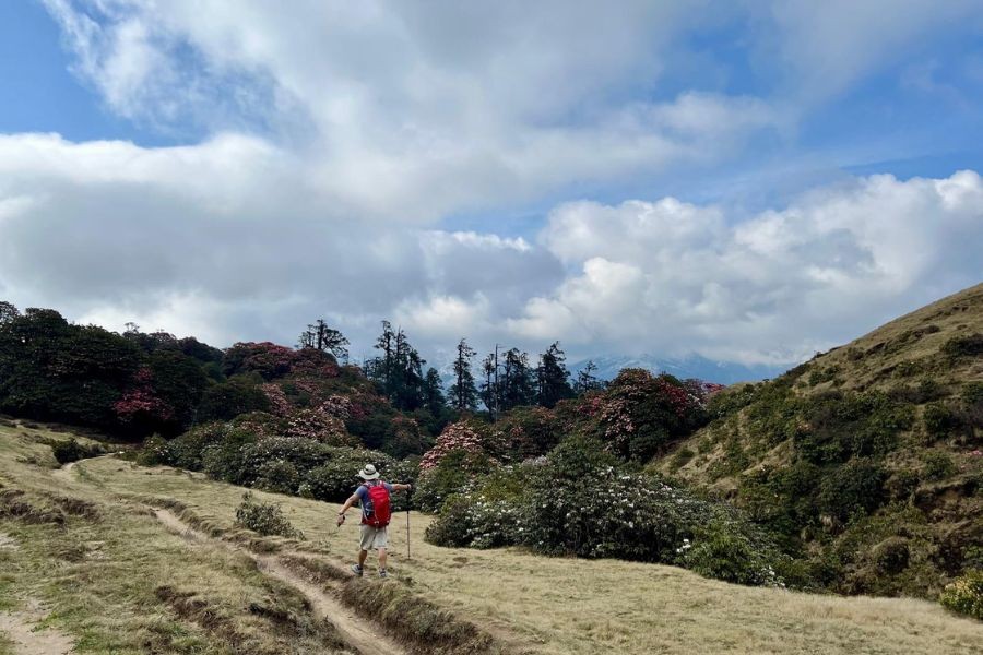 Walking and enjoying Spring weather during Pikey Peak trek.